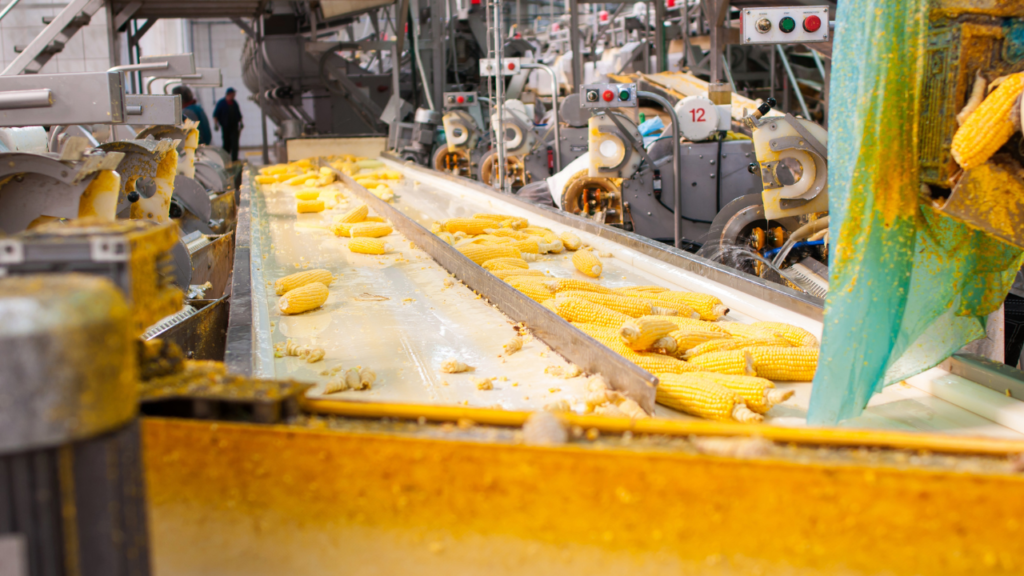 <strong>5 ways to save Energy and Money in the Food and Beverage processing industry</strong>