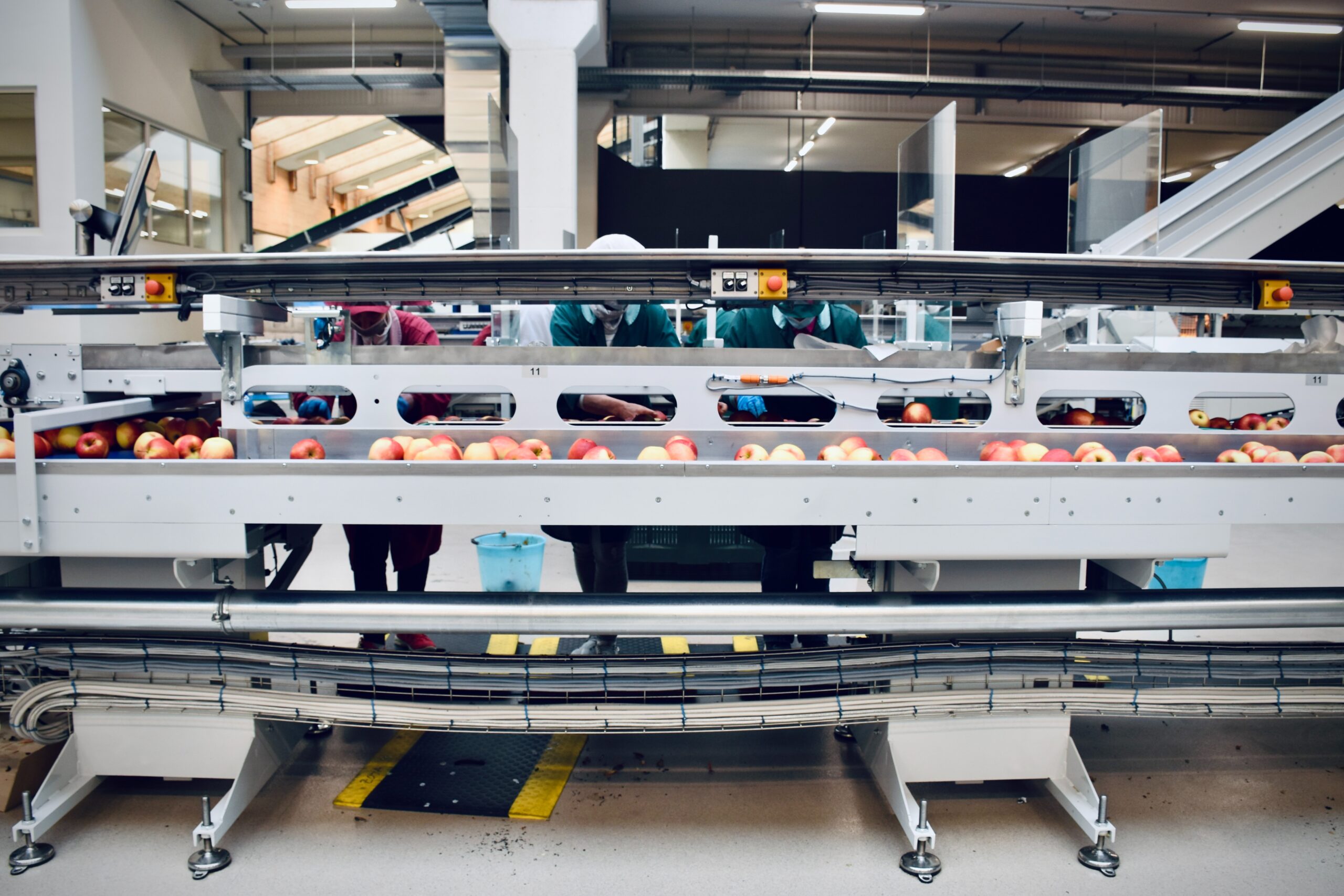 Sustainable Procurement: Key theme in the Net Zero Food & Beverage Forum