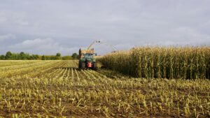 Science of Gene-Edited Crops