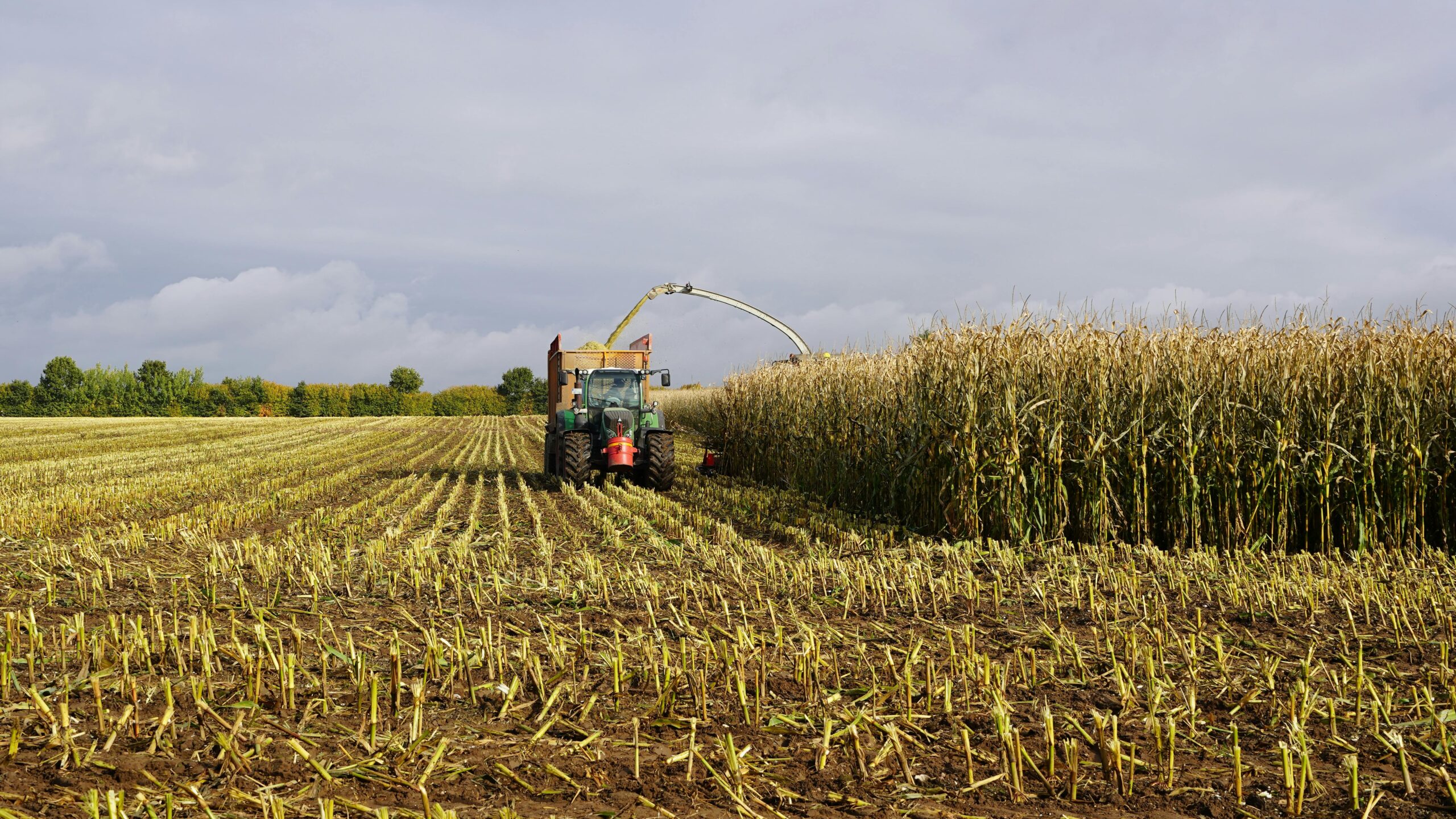 Science of Gene-Edited Crops